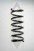 SPIDAN 85026 Coil Spring